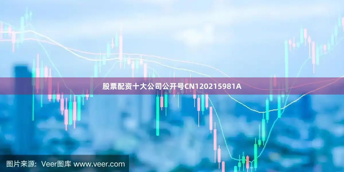 股票配资十大公司公开号CN120215981A