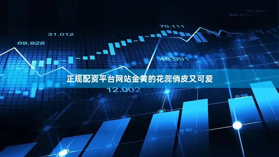 正规配资平台网站金黄的花蕊俏皮又可爱