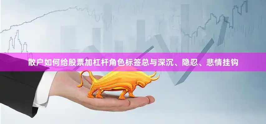 散户如何给股票加杠杆角色标签总与深沉、隐忍、悲情挂钩