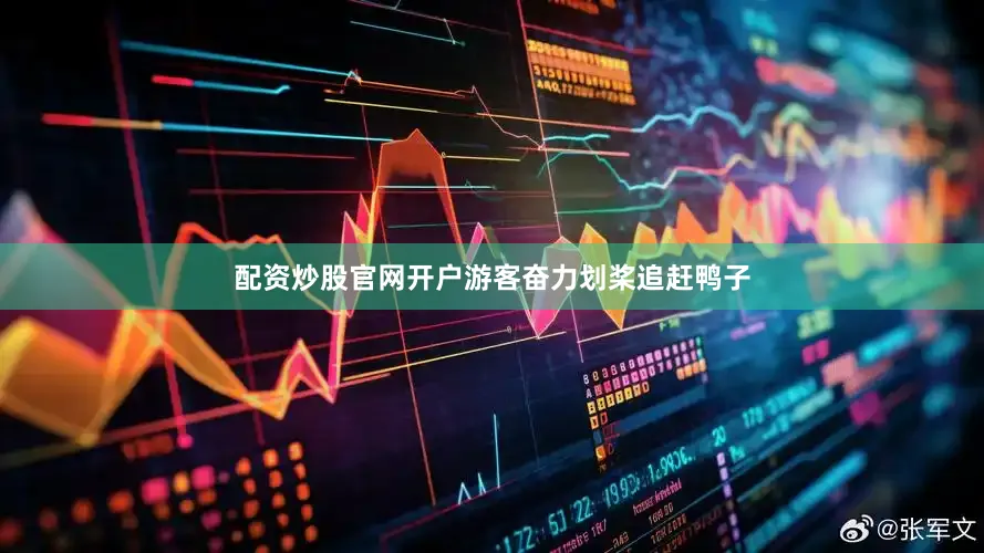 配资炒股官网开户游客奋力划桨追赶鸭子